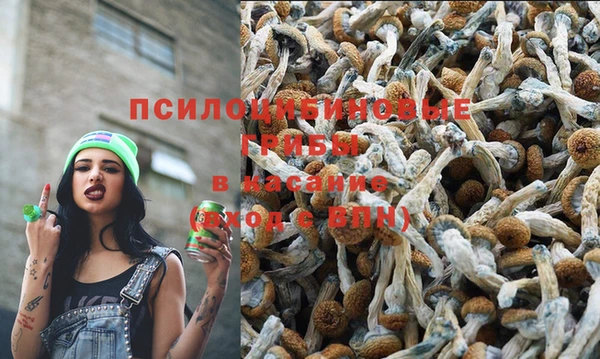 кокаин премиум Алексеевка