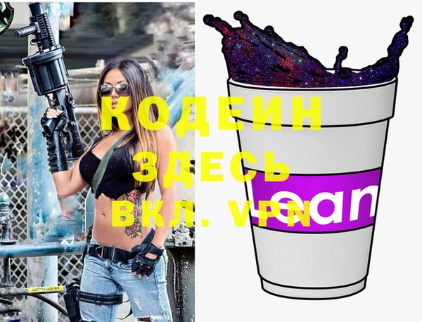 индика Нея