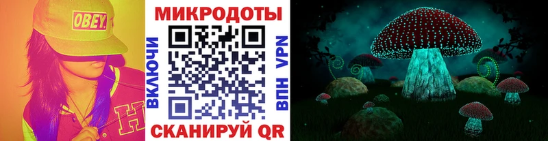 Псилоцибиновые грибы мухоморы  hydra маркетплейс  Фролово  хочу  